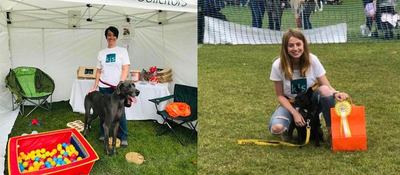 K J Smith Solicitors sponsor Basingstoke Charity Dog Show