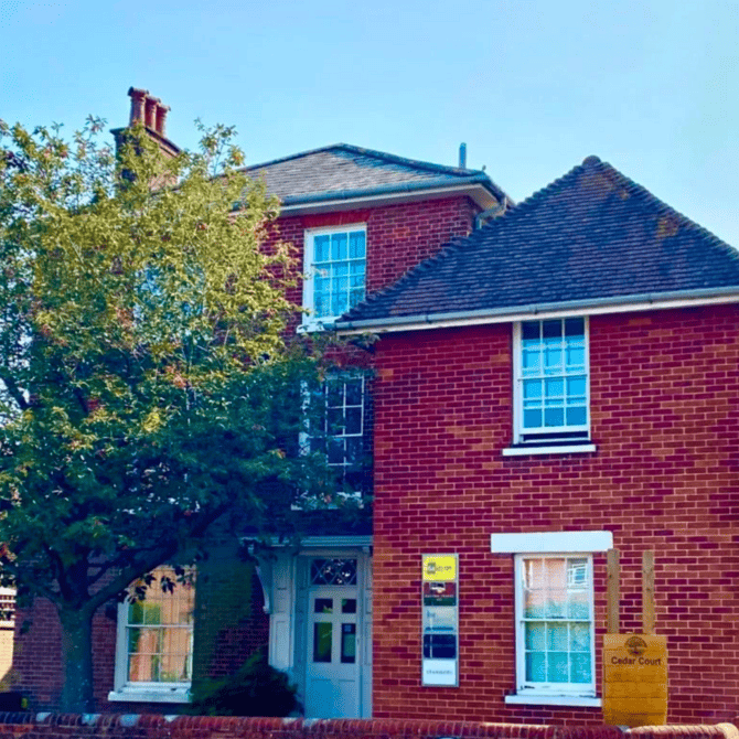 Green Plant Polaroid Environment Day Instagram Post (2) 