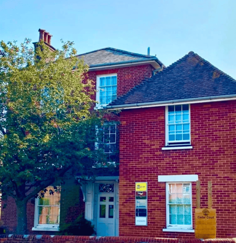 Green Plant Polaroid Environment Day Instagram Post (2) 