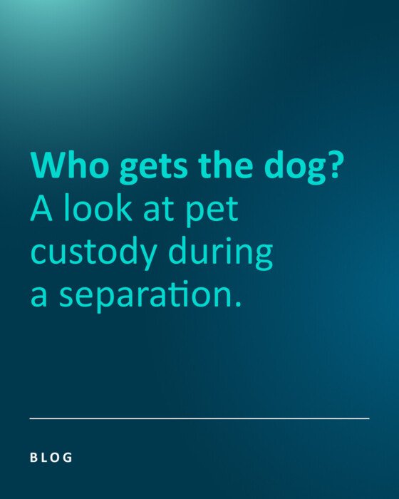 large Blog style 1 Pet custody 